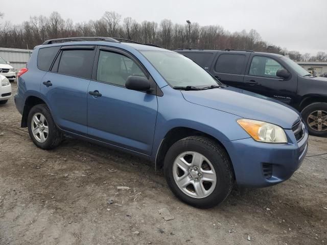 Toyota RAV4 • 2009 • 10,000 mi 2