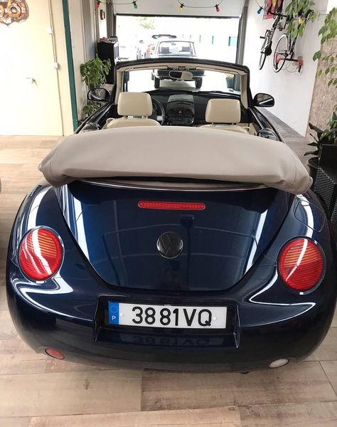 Volkswagen New Beetle • 2003 • 135,000 km 4