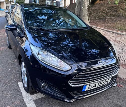 Ford Fiesta • 2014 • 102,000 km 1