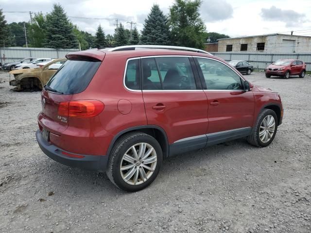 Volkswagen Tiguan Limited • 2014 • 10,000 mi 6