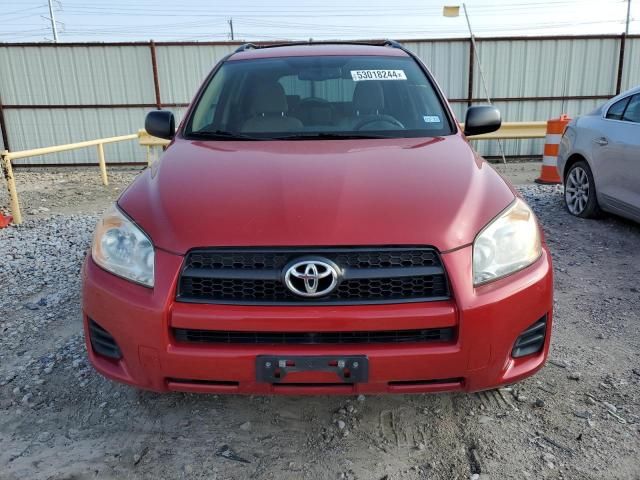Toyota RAV4 • 2011 • 10,000 mi 1