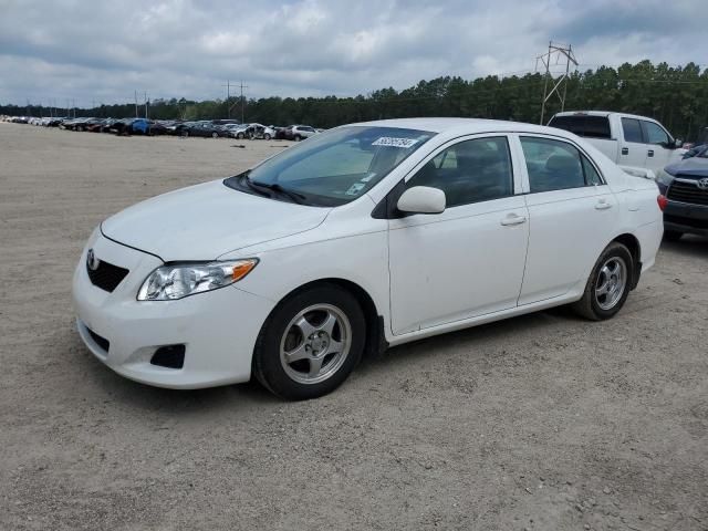 Toyota Corolla • 2009 • 10,000 mi 3
