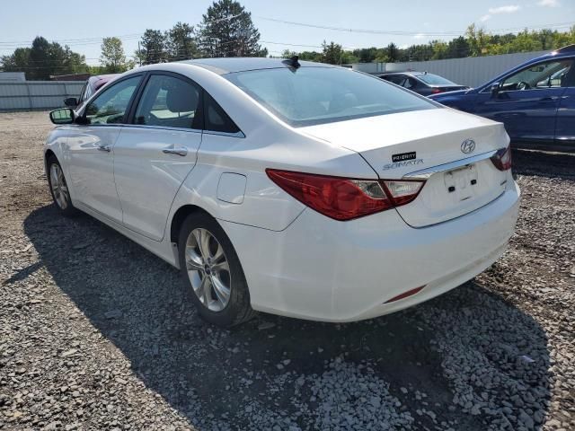 Hyundai Sonata • 2013 • 10,000 mi 3