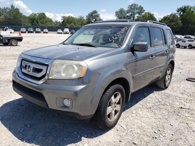 Honda Pilot • 2010 • 12 km 4