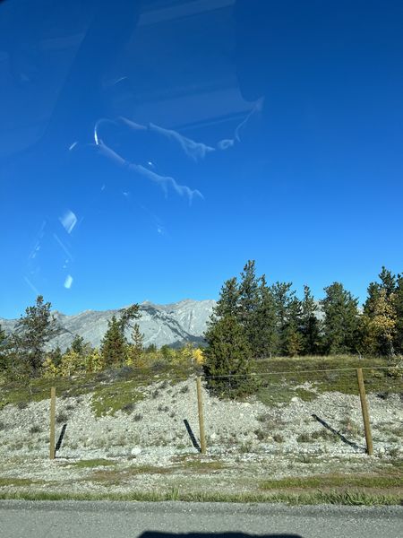 Ford Escape • 2006 • 297,000 km 10