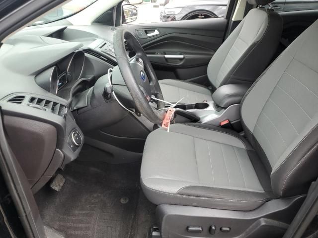 Ford Escape • 2016 • 10,000 mi 7