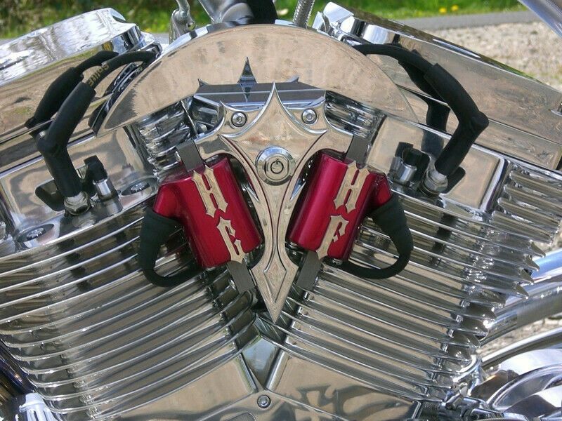 Harley Davidson custom • 2020 • 4,600 km 12