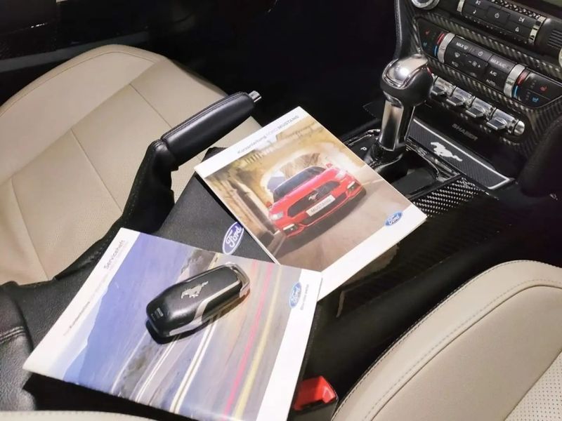 Ford Mustang • 2016 • 66,500 km 4