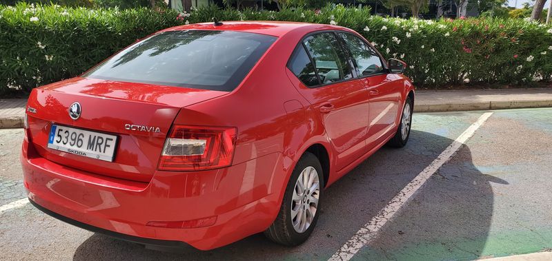 Škoda Octavia • 2016 • 264,000 km 4