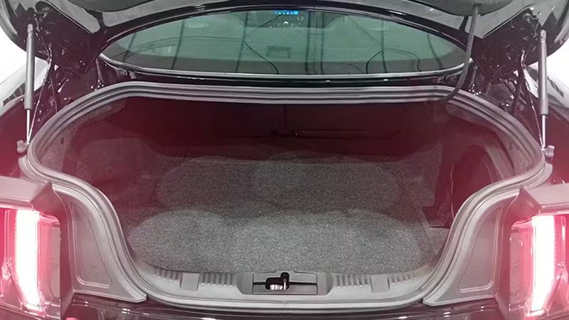 Ford Mustang • 2021 • 7,282 km 8