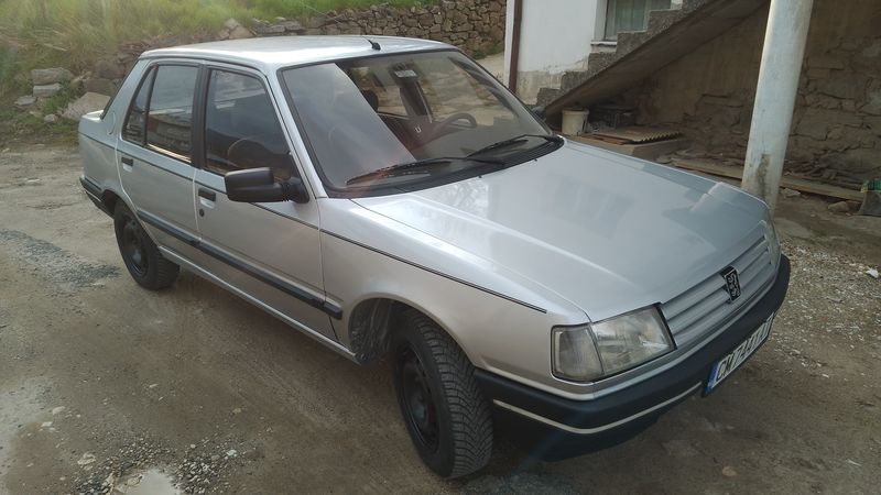 Peugeot 309 • 1990 • 247,500 km 17