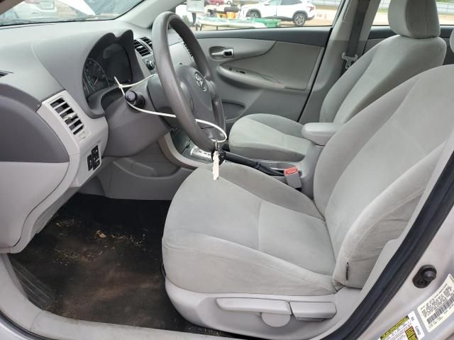 Toyota Corolla • 2010 • 10,000 mi 7