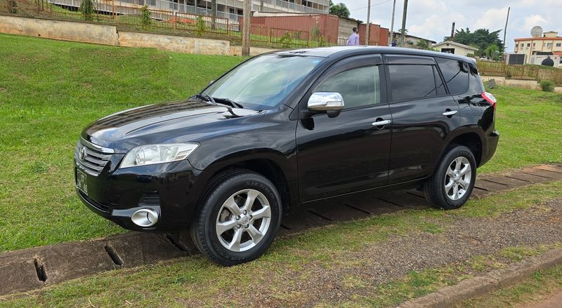 Toyota RAV4 • 2009 • 90,000 km 1