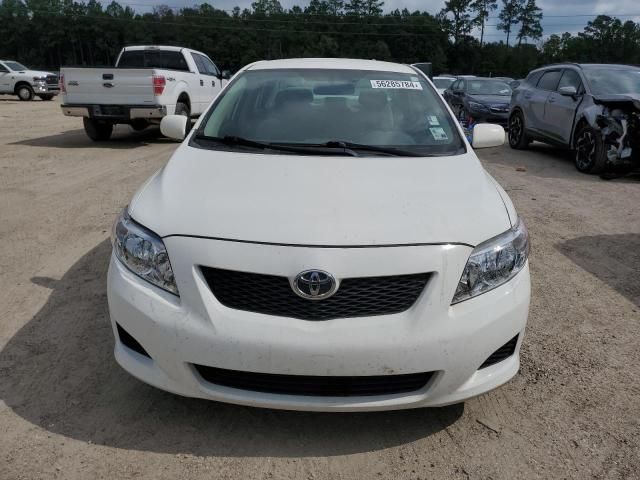 Toyota Corolla • 2009 • 10,000 mi 1