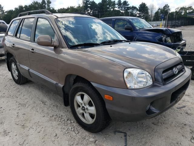 Hyundai Santa Fe • 2006 • 10,000 mi 1