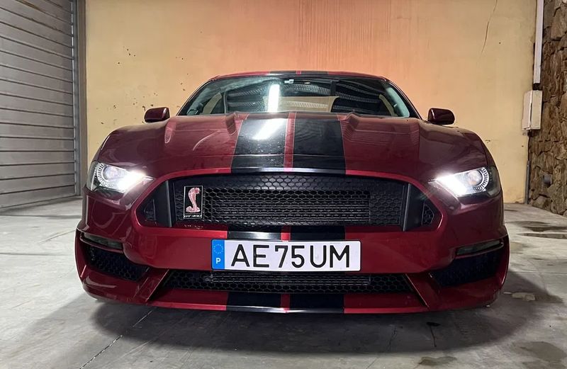 Ford Mustang • 2019 • 12,132 km 1