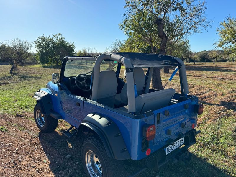Jeep Wrangler • 1993 • 140,000 km 2