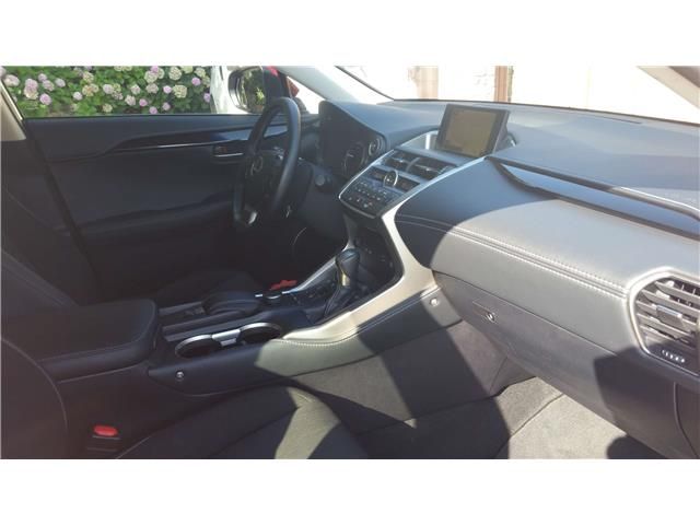 Lexus NX • 2015 • 122,500 km 6