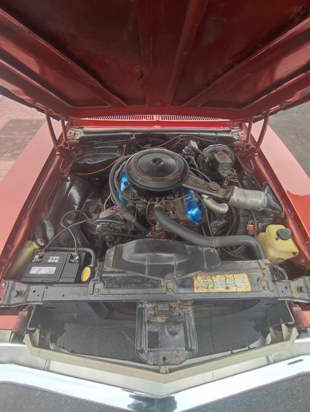Buick Skylark • 1976 • 110,000 km 7