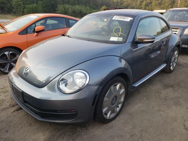Volkswagen Beetle • 2014 • 10,000 mi 2