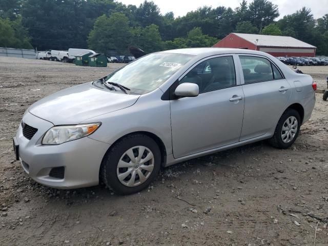 Toyota Corolla • 2010 • 10,000 mi 3