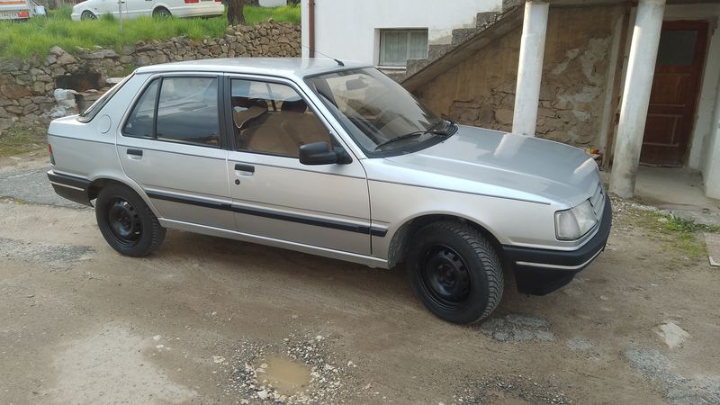 Peugeot 309 • 1990 • 247,500 km 2