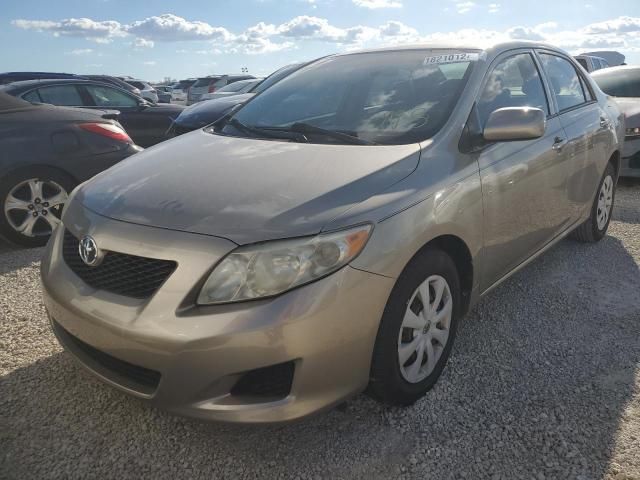 Toyota Corolla • 2009 • 33 km 4