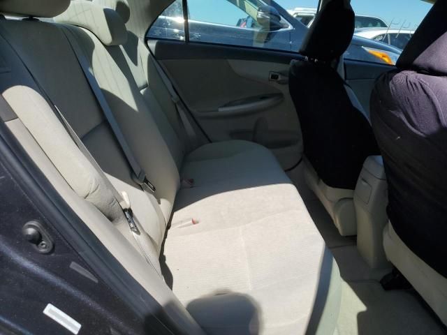 Toyota Corolla • 2010 • 33 km 6