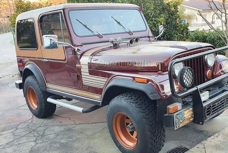 Jeep Pajero • 1980 • 80,000 km 1