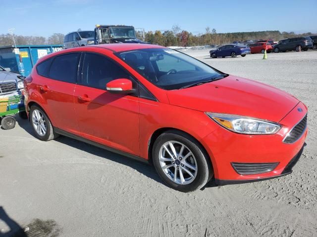 Ford Focus • 2016 • 10,000 mi 1