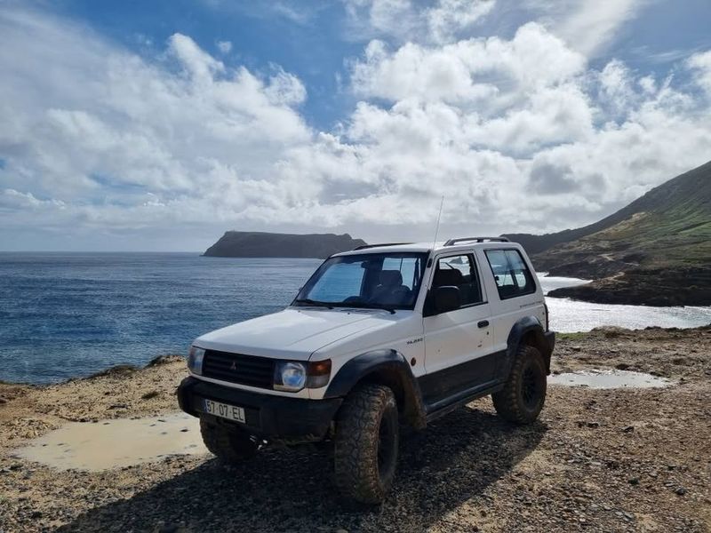 Mitsubishi Pajero • 2009 • 155,000 km 4