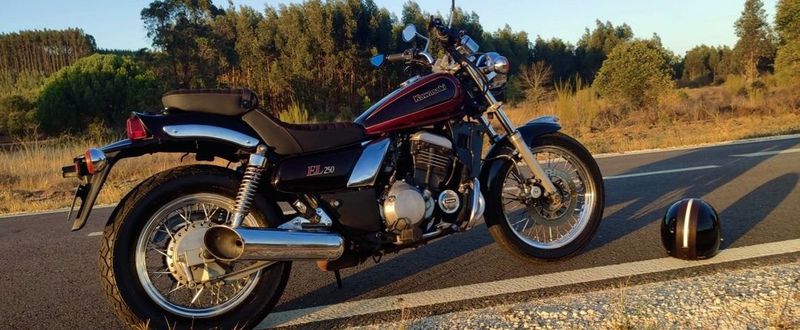 Kawasaki er-6n • 1992 • 22,000 km 1