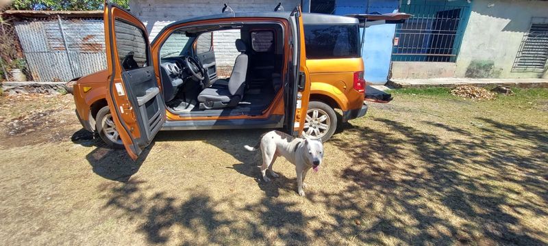 Honda Element • 2006 • 197,687 km 10