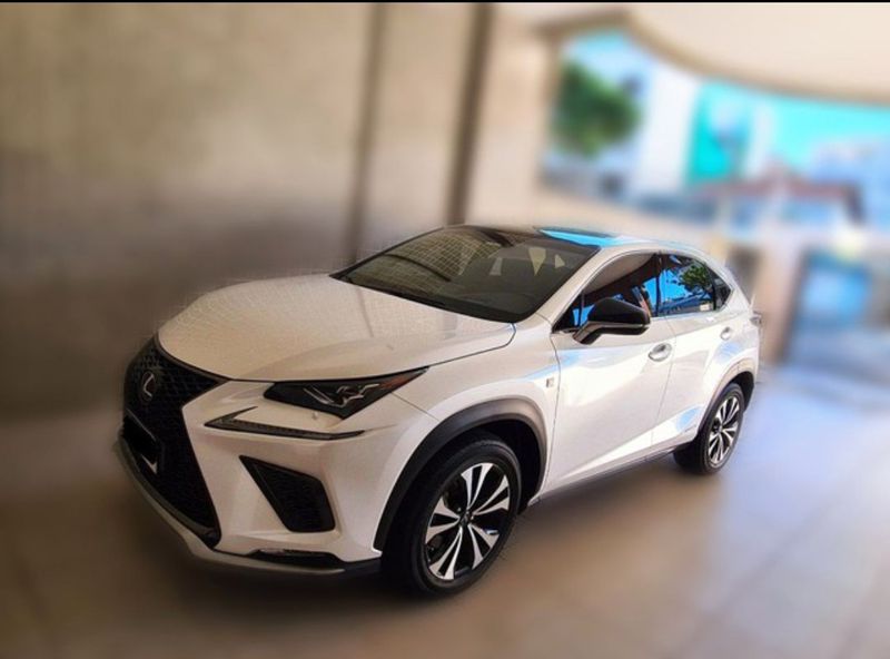 Lexus NX • 2019 • 32,000 km 1