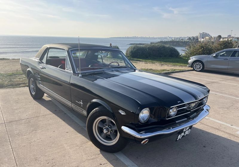 Ford Mustang • 1966 • 28,000 km 3