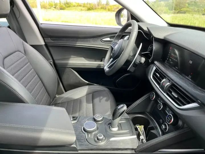 Alfa Romeo Stelvio • 2019 • 25,000 km 4