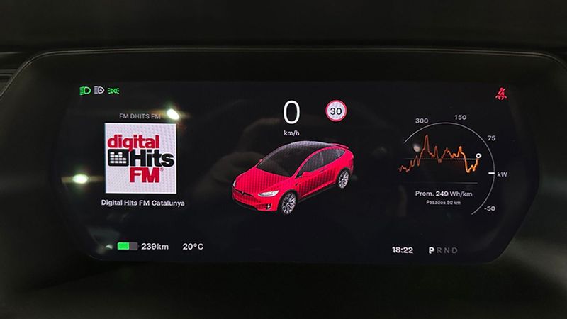 Tesla Model X • 2019 • 51,000 km 17