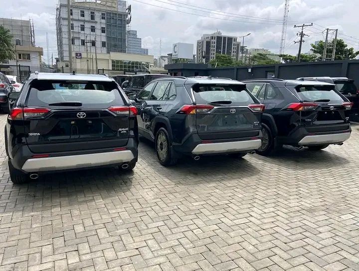 Toyota RAV4 EV • 2018 • 50,000 km 2