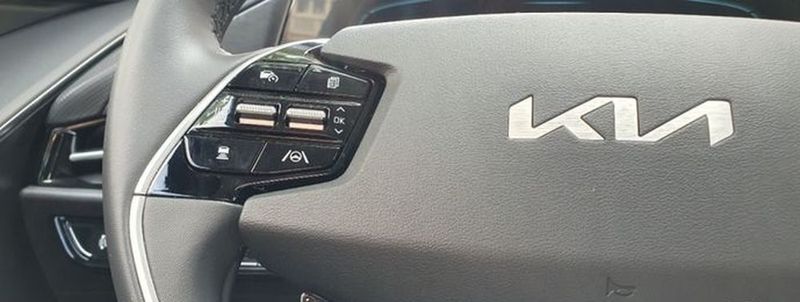 Kia Niro • 2023 • 3,900 km 16