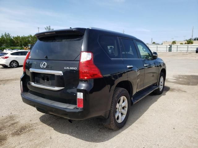 Lexus GX • 2011 • 184 km 2