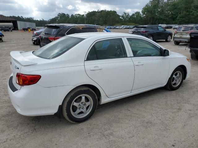 Toyota Corolla • 2009 • 10,000 mi 6