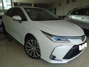 Toyota Corolla • 2020 • 1,100 km 1