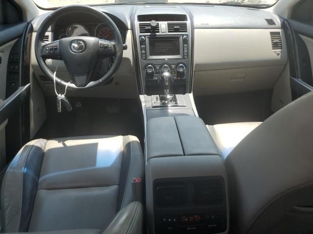 Mazda CX-9 • 2010 • 10,000 mi 8