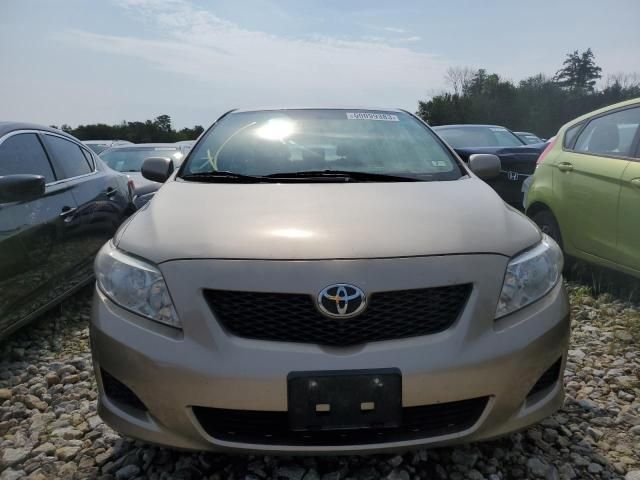 Toyota Corolla • 2009 • 10,000 mi 1