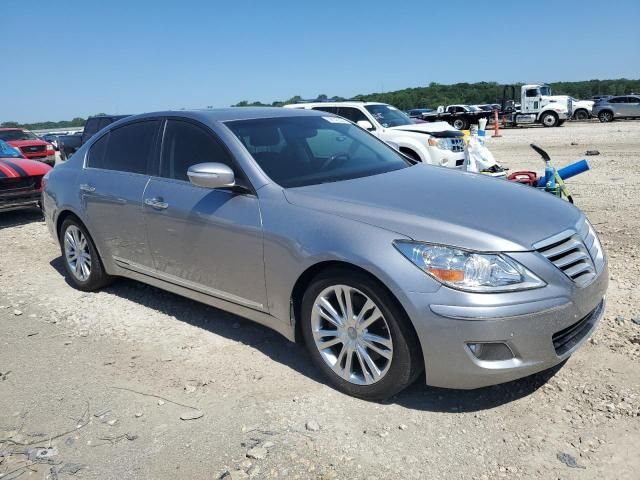 Hyundai Genesis • 2009 • 10,000 mi 1