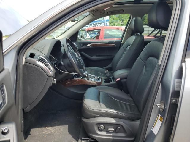 Audi Q5 • 2010 • 10,000 mi 7