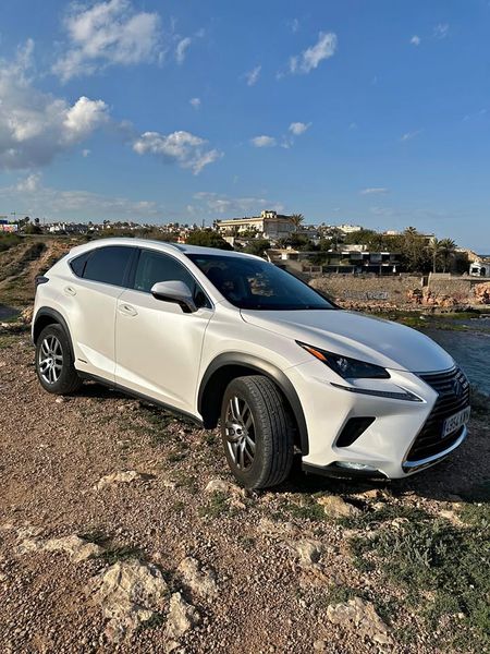 Lexus NX • 2019 • 88,500 km 4