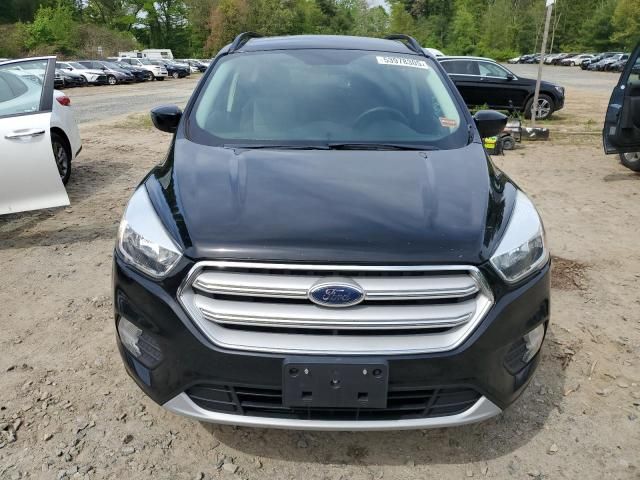 Ford Escape • 2018 • 10,000 mi 2