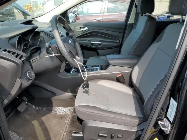 Ford Escape • 2018 • 10,000 mi 6