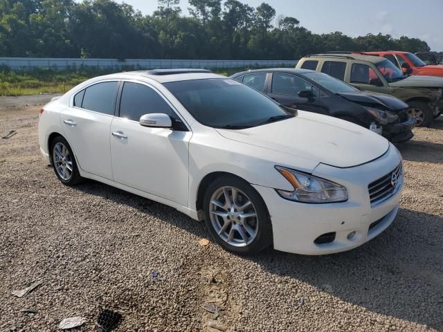 Nissan Maxima • 2013 • 10,000 mi 1